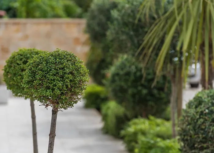 Karla Apartman Zára