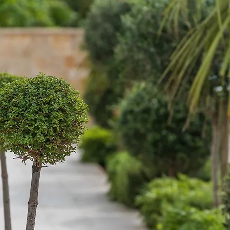 Karla 아파트 자다르